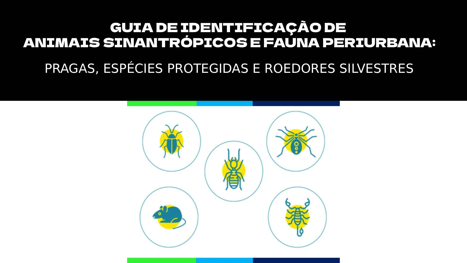 GUIA DE IDENTIFICAÇÃO DE ANIMAIS SINANTRÓPICOS E FAUNA PERIURBANA