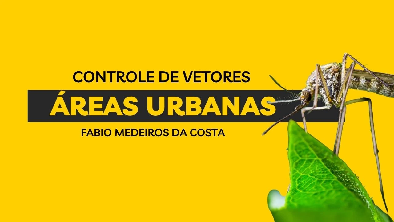 vetores áreas urbanas
