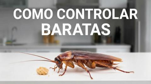 Miniatura do Youtube Cuidado Chamativo Azul e Amarelo