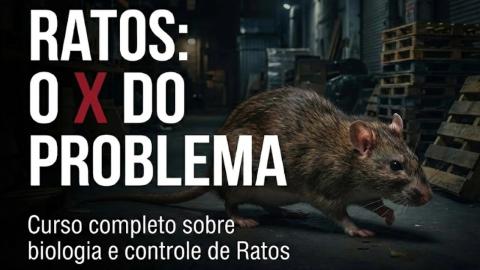 Imagem Curso Ratos o X do Problema