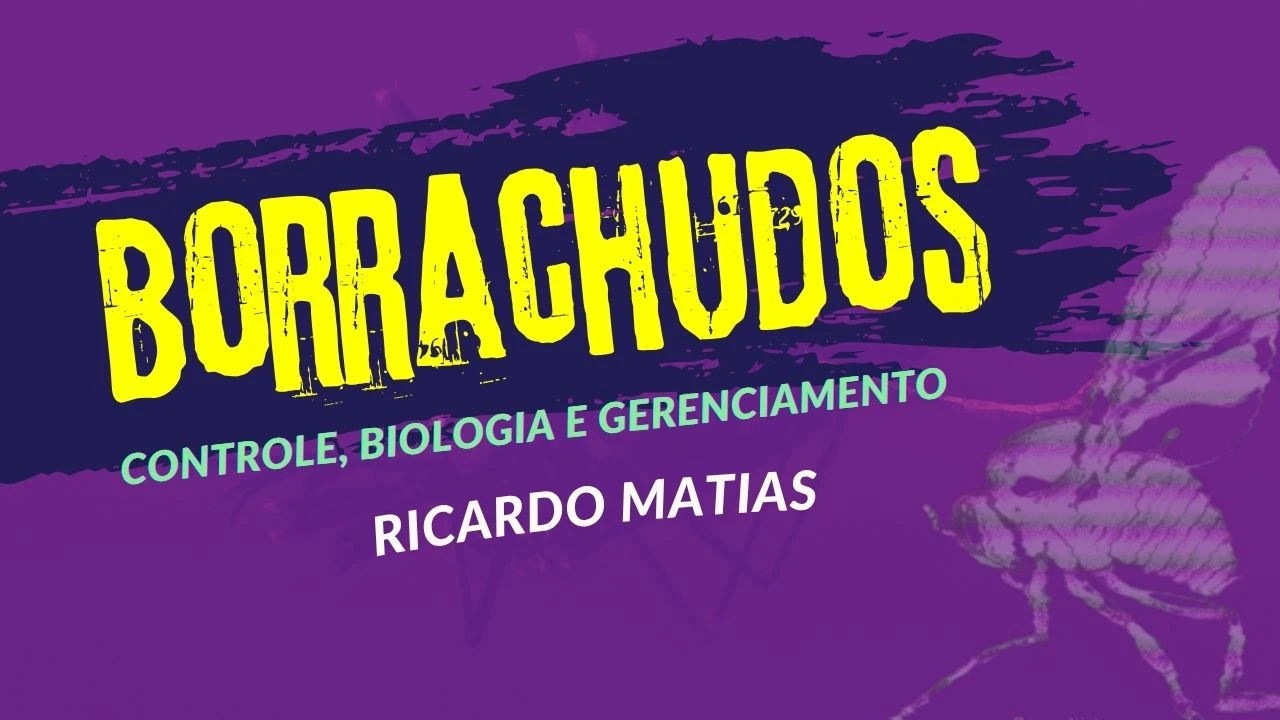 Controle de Borrachudos