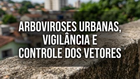 Imagem Oficial