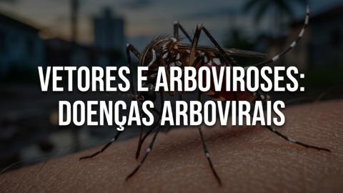 Imagem Oficial