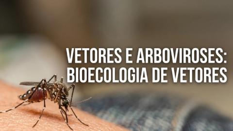 Imagem Oficial