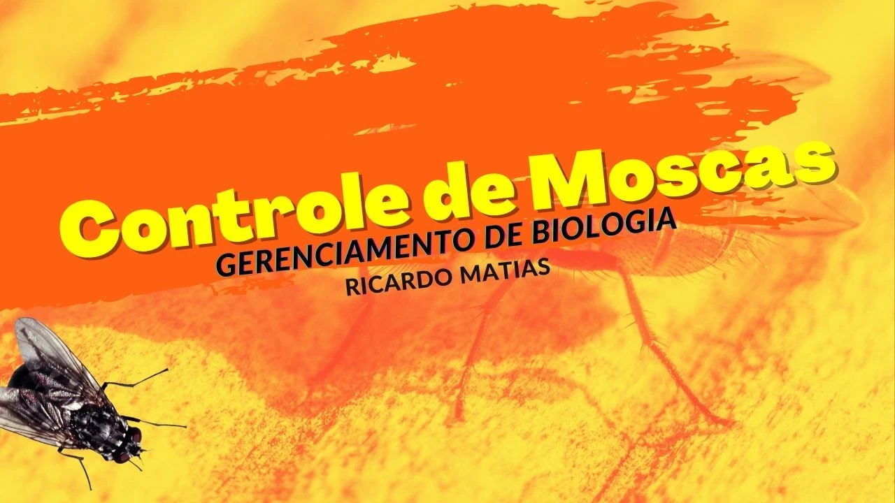 Controle de Moscas