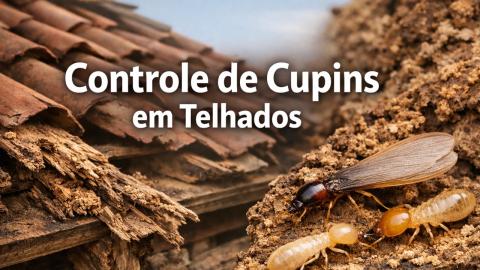 Imagem Oficial