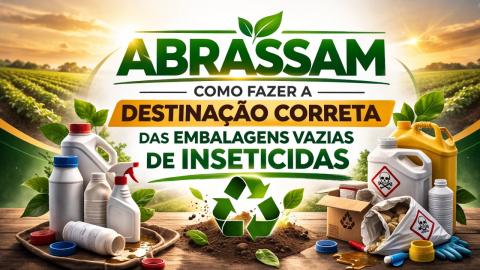 Imagem Oficial (1)