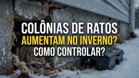 Imagem Oficial (1)