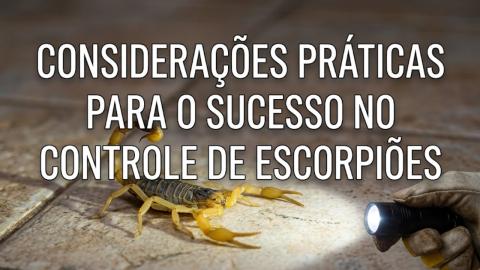 Imagem Oficial