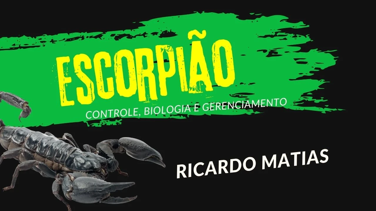 Escorpião e aranhas