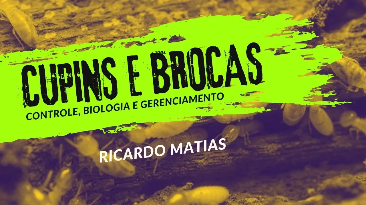 Cupins e Brocas