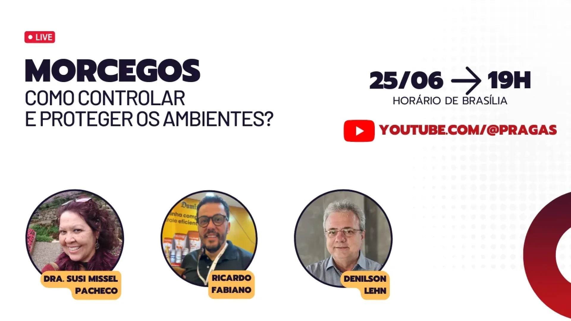 Morcegos: Como Controlar e Proteger os Ambientes?