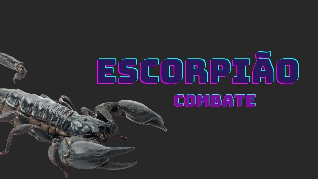 Combate escorpiao