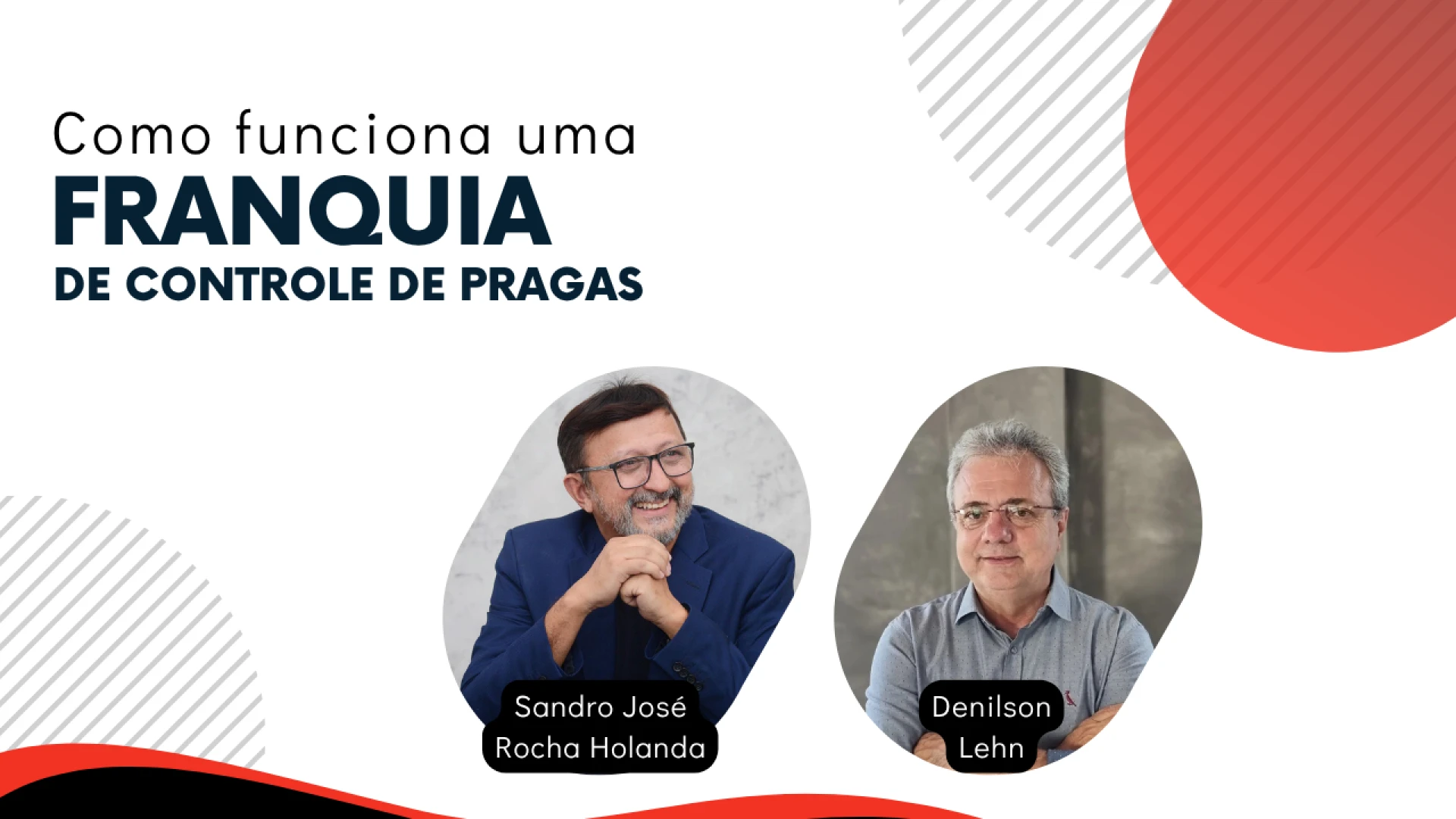 Como funciona uma Franquia de Controle de Pragas