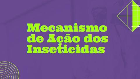 Mecanismo de ação inseticida
