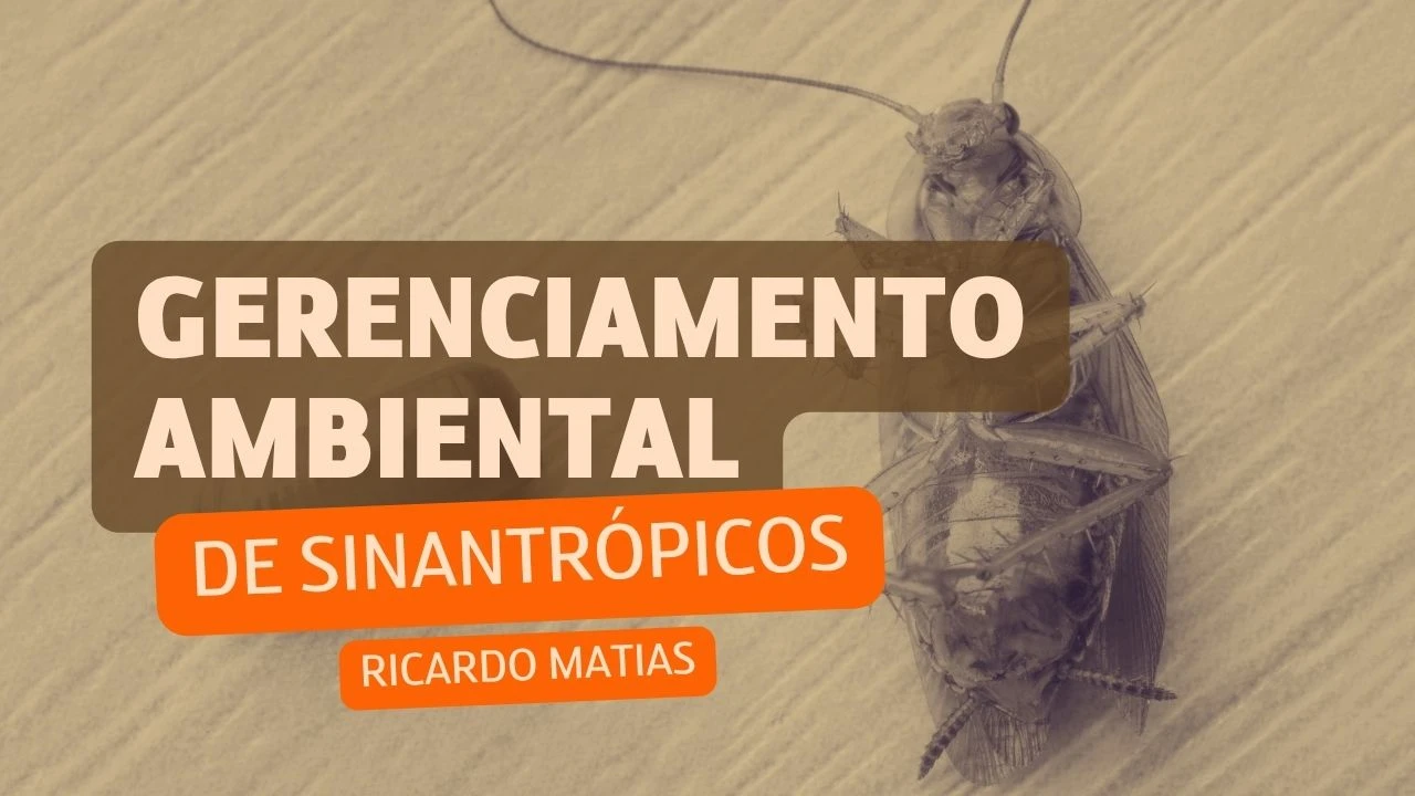 Gerenciamento ambiental