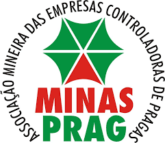 MINAS PRAG - Pragflix