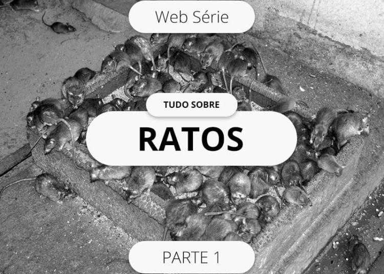 História dos Ratos